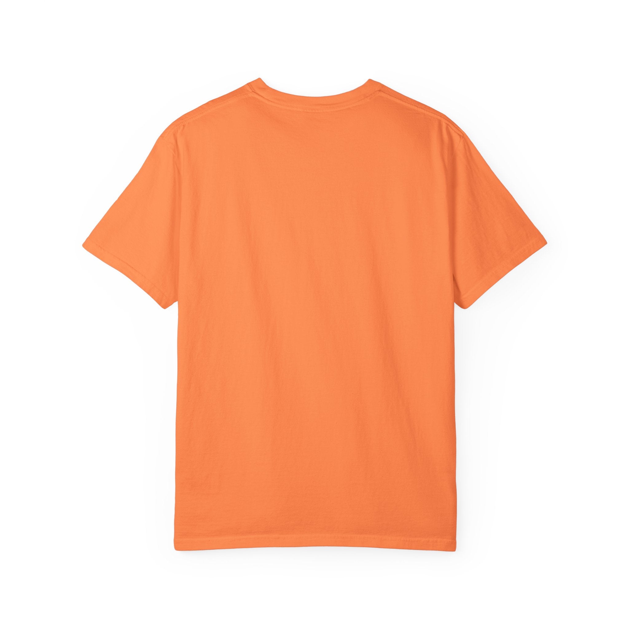 Omo OBBA NANI Shirt, Afro-Spiritual Tee Gift for Godparent or Devotee  Orisha Inspired Comfort Colors T-Shirt