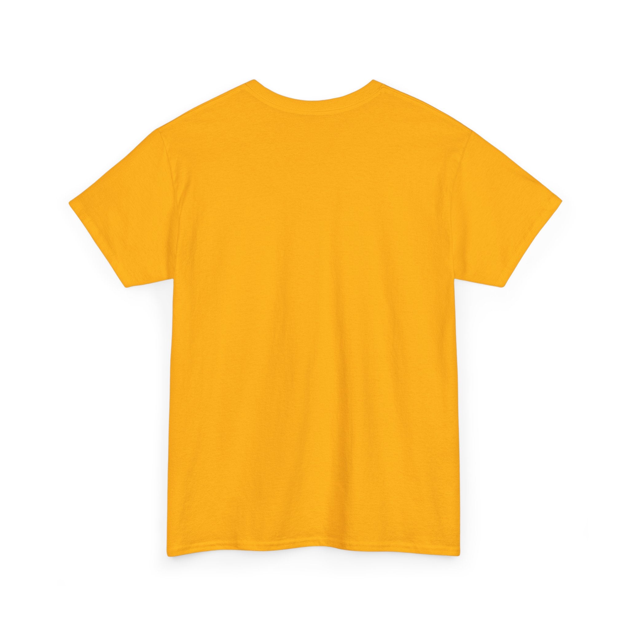 Highly Protected Oshun Tee, Spiritual T-Shirt, Goddess Apparel, Affirmation Shirt, Gift for Her, Boho Style Clothing