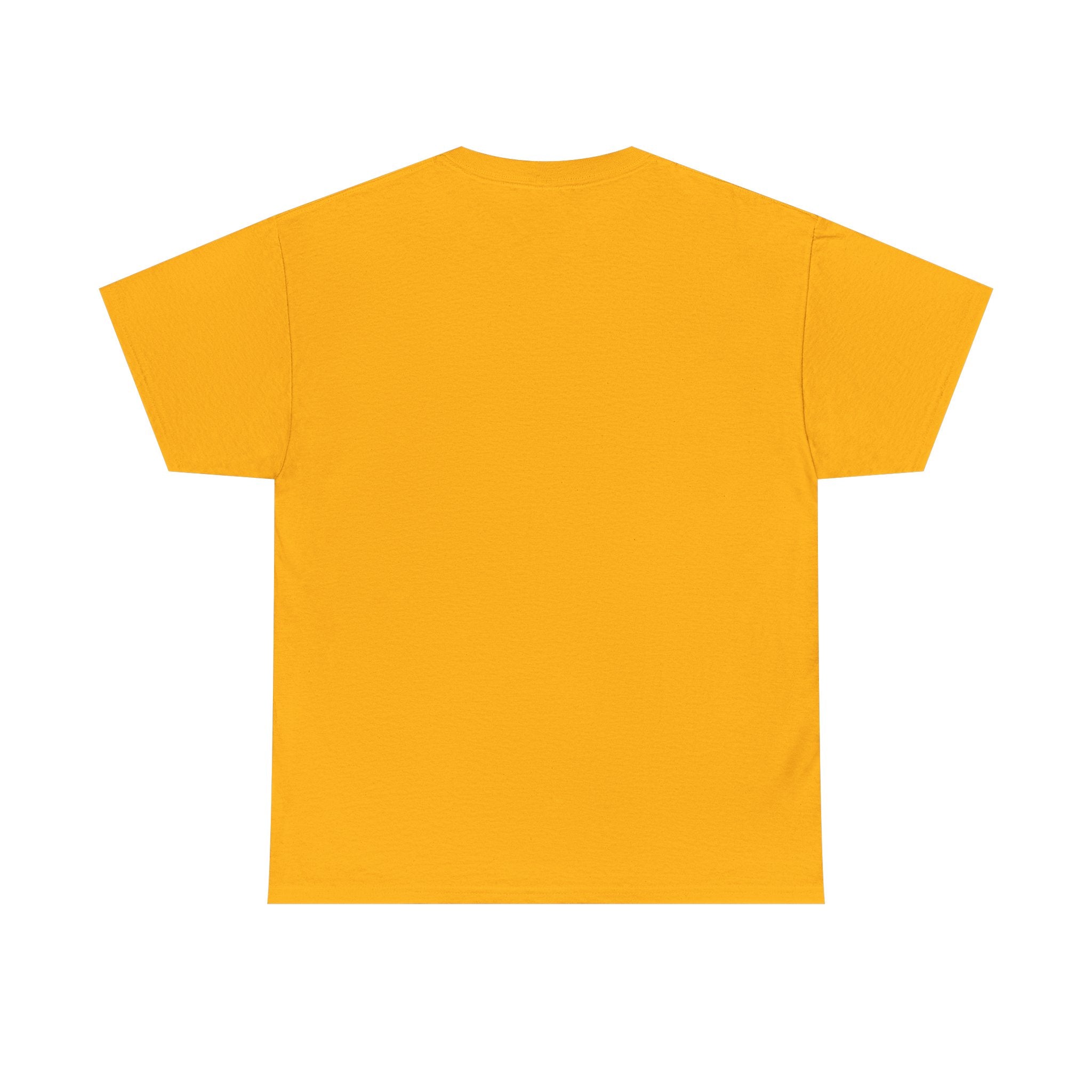 Highly Protected Oshun Tee, Spiritual T-Shirt, Goddess Apparel, Affirmation Shirt, Gift for Her, Boho Style Clothing