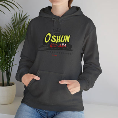 Oshun IBÚ ANA, Orisha inspired Unisex Hoodie!! Gift for devotee or Godparent! Omo OSHUN hoodie!